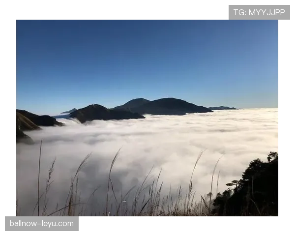 久保建英深情回忆皇马青训岁月：那段经历塑造了今天的我