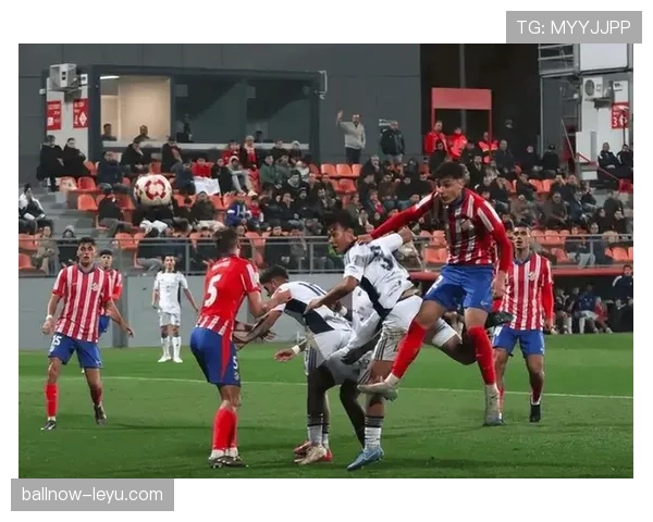 纽卡斯尔联转会窗强势出击，签下新星补强阵容引关注