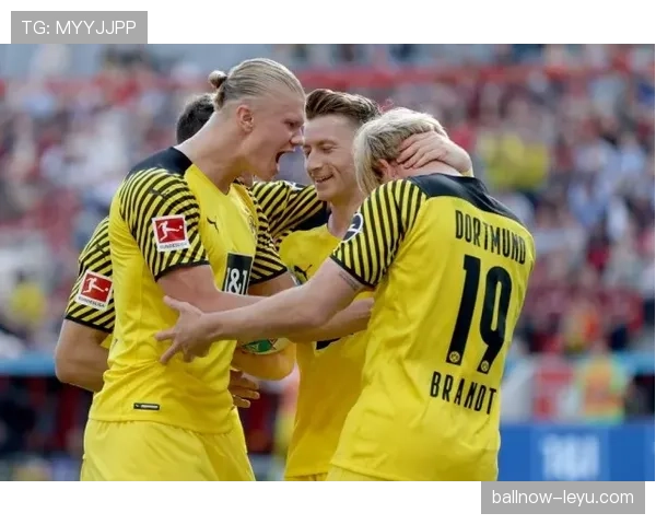 哈兰德对阵不同联赛球队表现对比：跨联赛适应能力分析